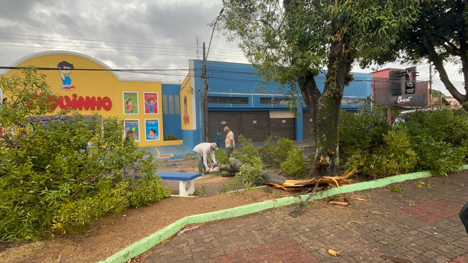 VÍDEO: temporal castiga São Carlos e cidades da região nesta segunda-feira (22)