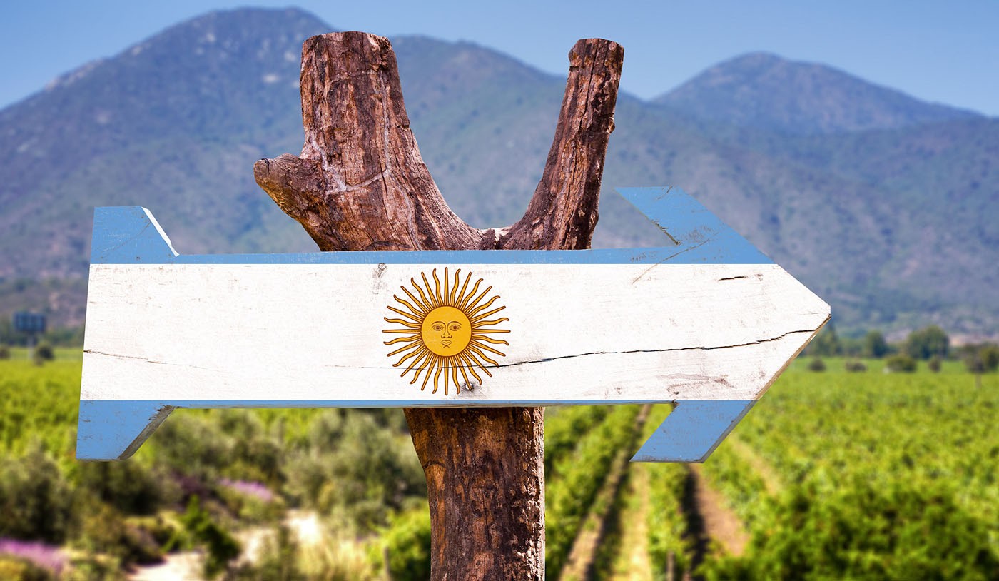 6 vinhos argentinos premiados em 2025 que você precisa provar