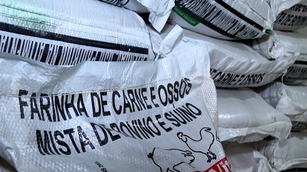 Farinha produzida com resíduos de carne, gordura e ossos é usada como alimentação para galinhas em granja no Espírito Santo — Foto: Reprodução/TV Gazeta