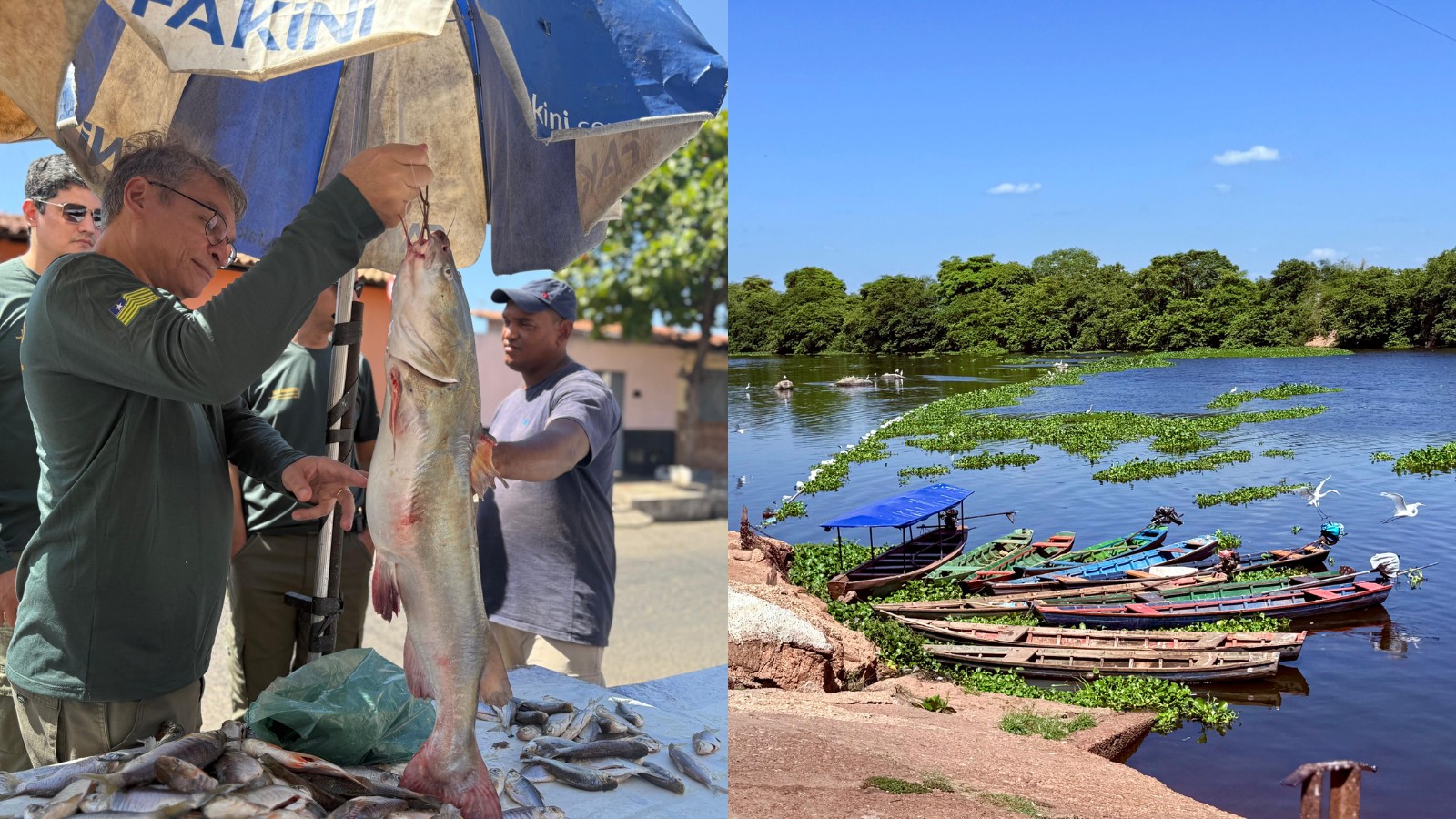 Piracema no Piauí: 70 kg de peixes apreendidos e R$ 40 mil em multas; veja balanço parcial
