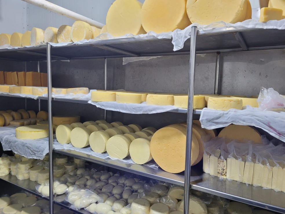 Produção de queijos da família Klein — Foto: Leiliane Byhain/Rede Amazônica