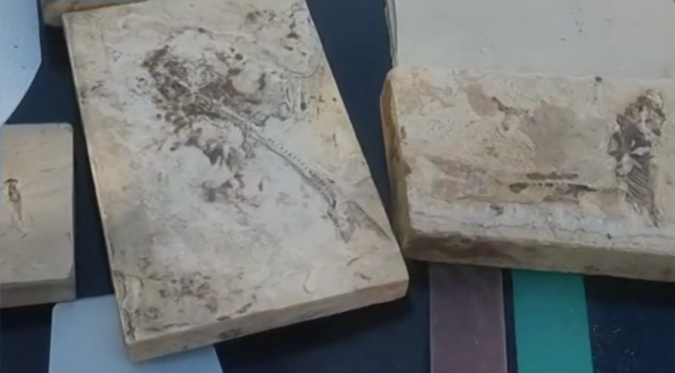 O material foi entregue ao museu da cidade de Santana do Cariri — Foto: Reprodução/TV Verdes Mares