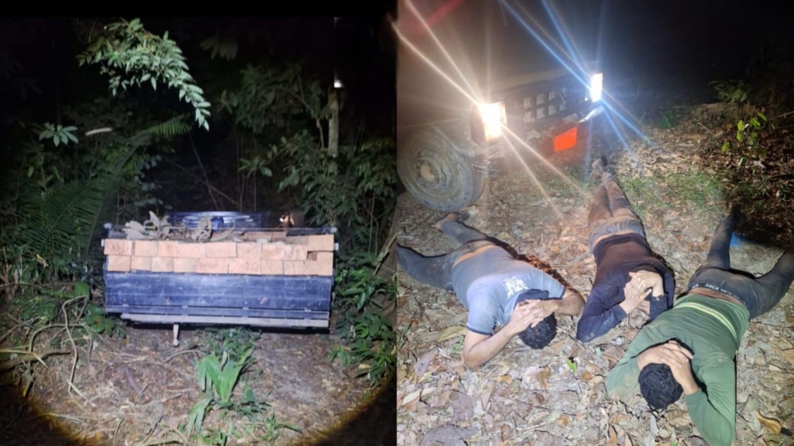 Três homens são presos em flagrante por extração ilegal de madeira na Flona Tapajós