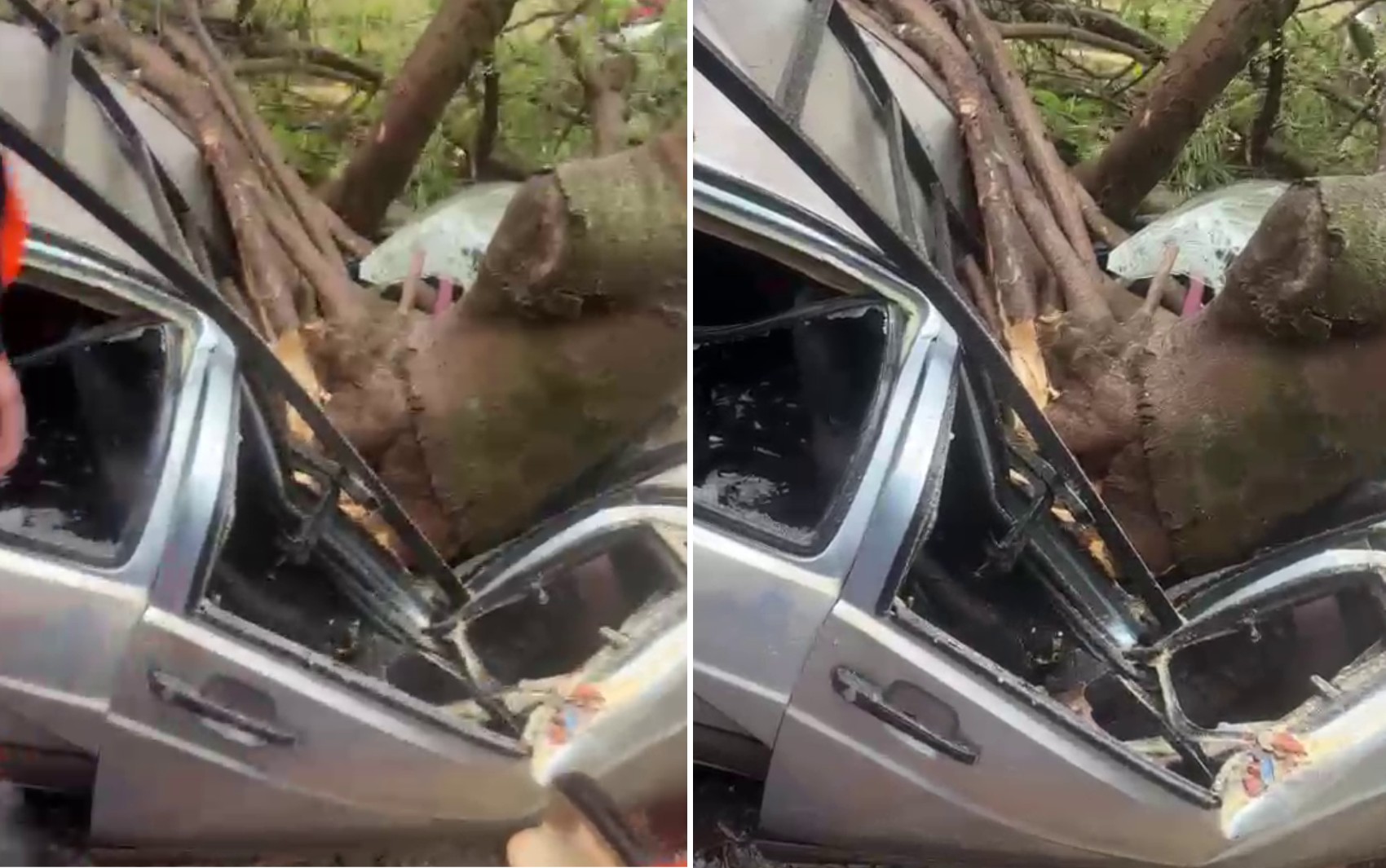 Homem morre após árvore cair sobre veículo durante ventania em Jaboticabal, SP