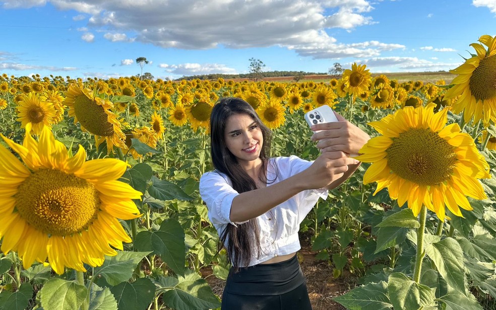 Janaine Domingues de Matos faz fotos em plantação de girassóis, em Silvânia — Foto: Larissa Feitosa/g1 Goiás