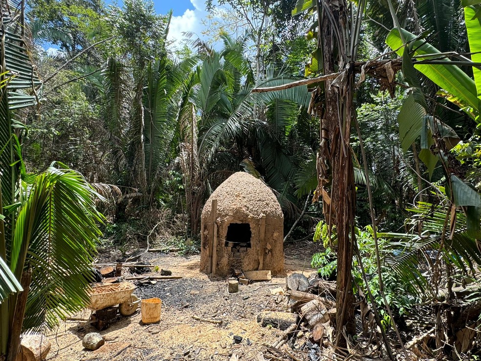 Carvoaria encontrada dentro de Resex em Guajara-Mirim &mdash; Foto: Reprodu&ccedil;&atilde;o/PF