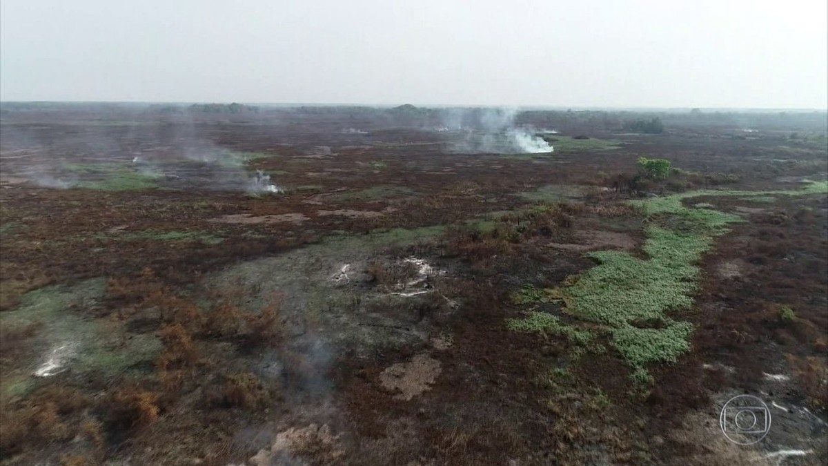 Escassez de água e fogo subterrâneo dificultam combate a incêndio no  Pantanal de MT perto da fronteira com a Bolívia, Mato Grosso