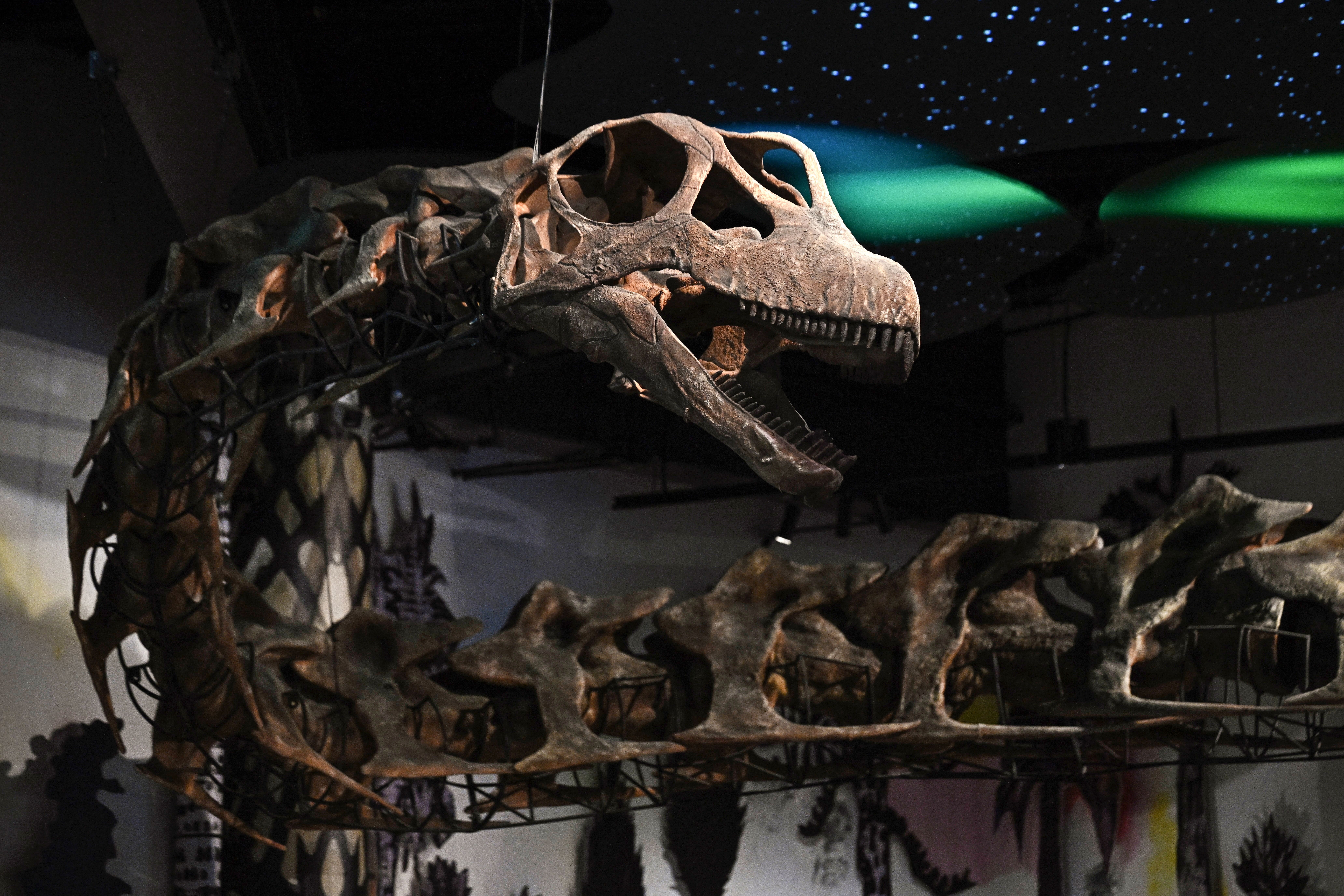 Tailândia identifica maior dinossauro do Sudeste Asiático