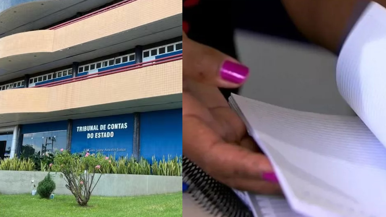 TCE suspende compra milionária de livros infantis para Teresina; mais de R$ 1.5 milhões já foram pagos