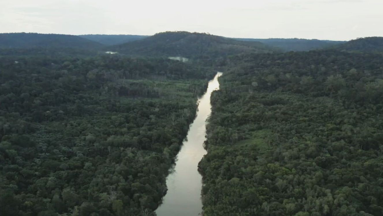 COP30: equipe de reportagem da TV TEM participa da cobertura do evento em Belém 