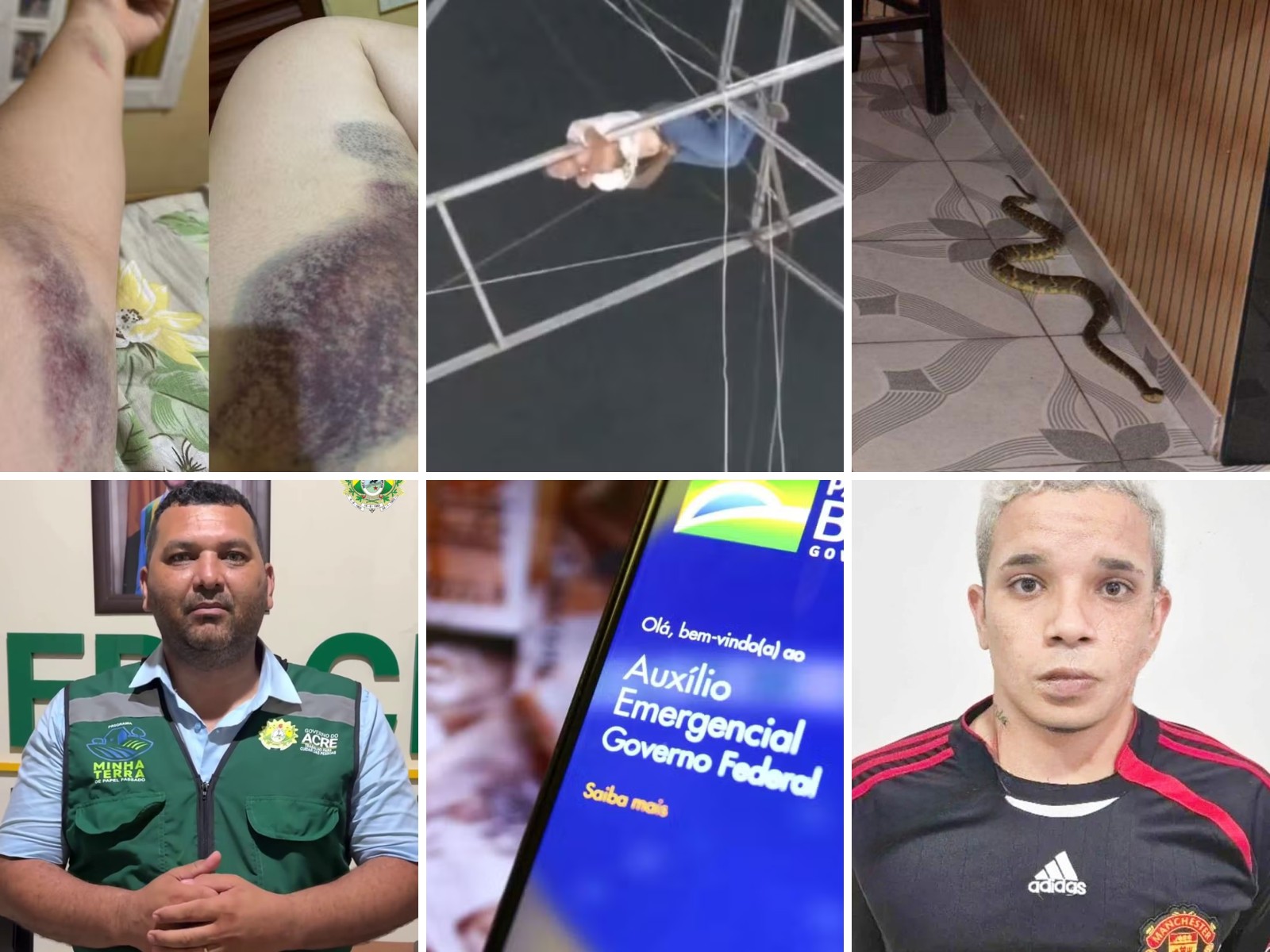 Você viu? Homem e mulher falam sobre queda de roda-gigante, jararaca encontrada dentro de casa, e mais