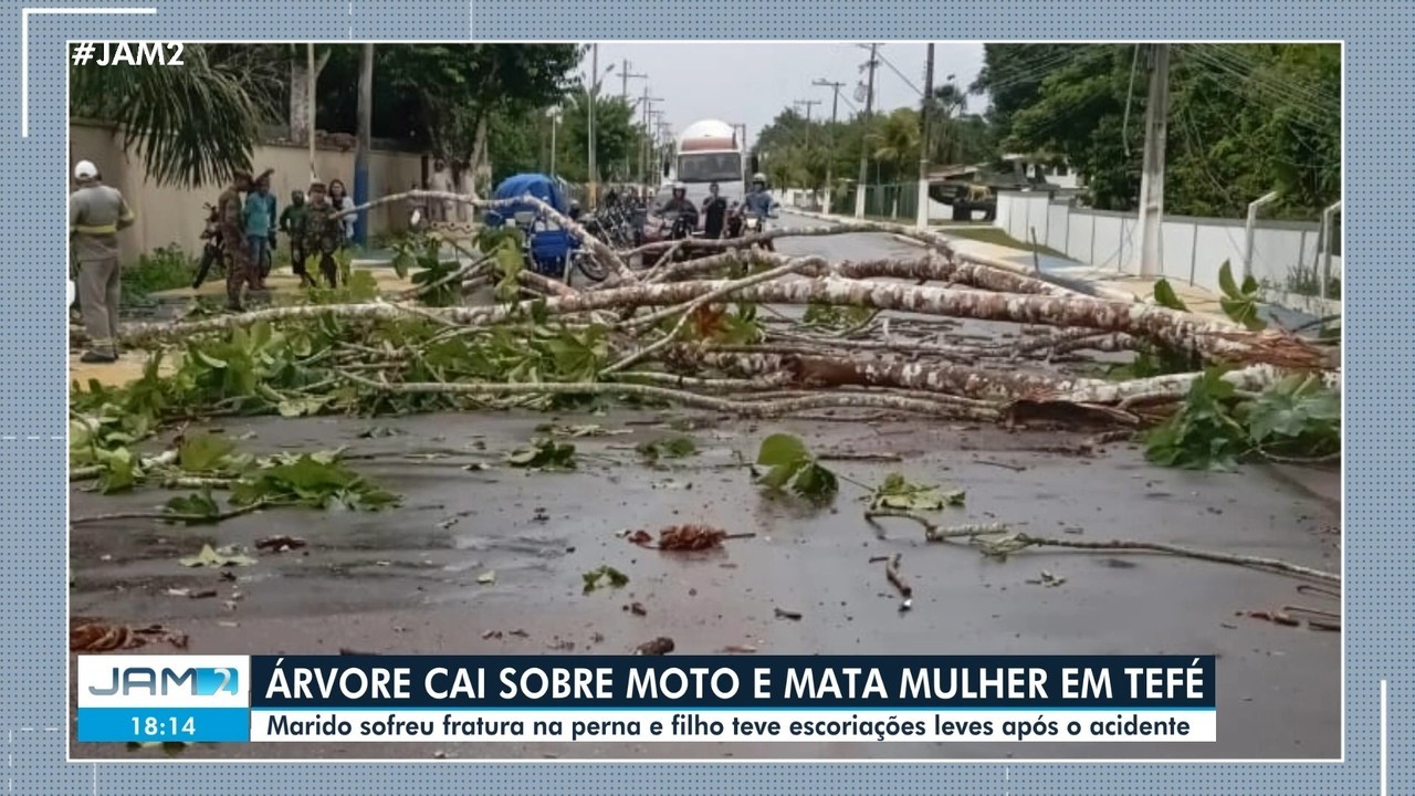 Mulher morre após árvore cair sobre moto durante temporal no interior do AM
