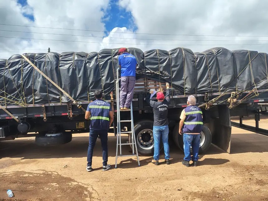 Carga com 16 toneladas de açaí é apreendida por irregularidade fiscal no nordeste do Pará