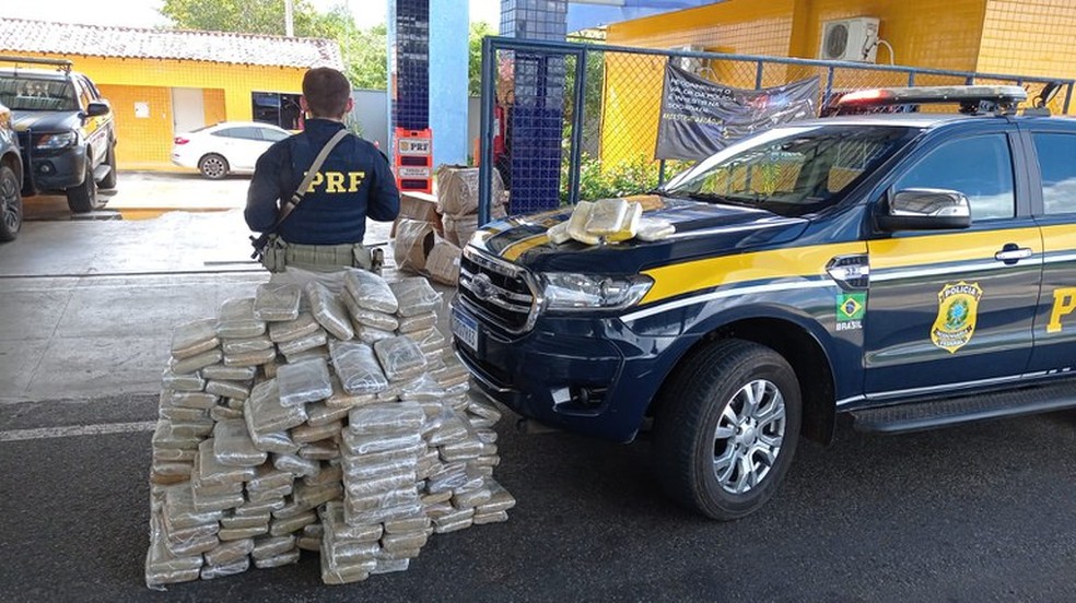 PRF apreende 233 kg de maconha e 5 kg de cocaína escondida em caminhão na BR-343, em Piripiri — Foto: Divulgação/PRF