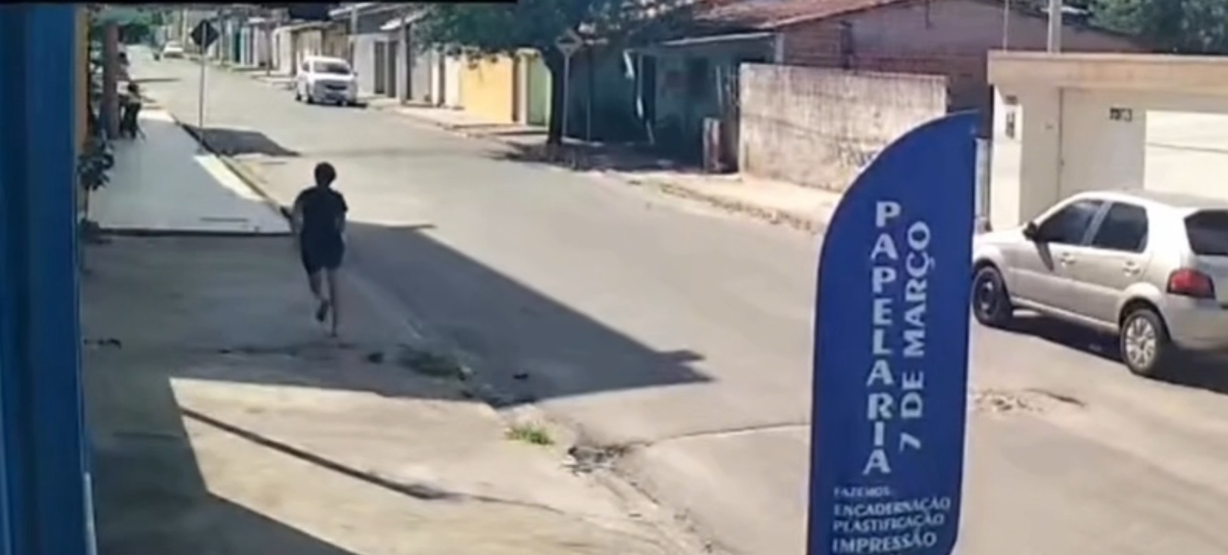 Pitbull solto ataca e mata pinscher que passeava com menina de 7 anos em Arapiraca; VÍDEO