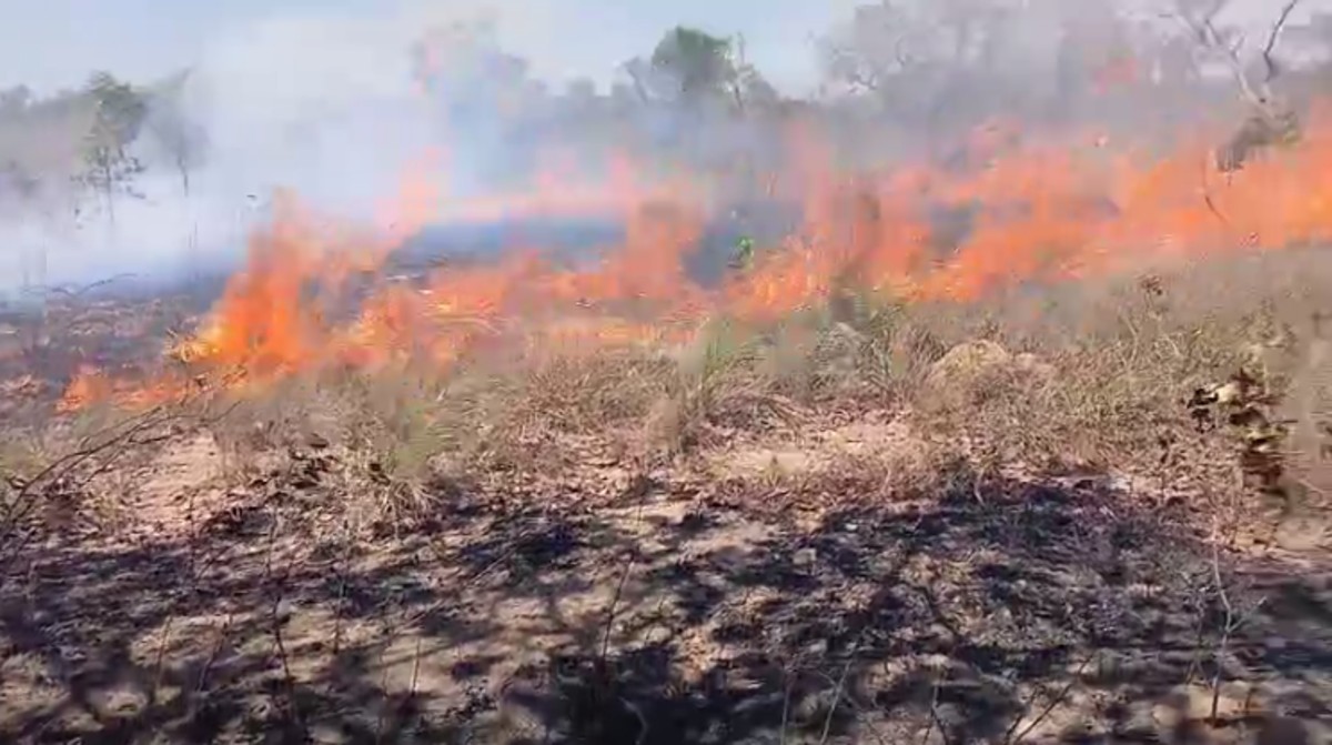 Força-tarefa combate incêndio de grandes proporções no Parque Nacional Grande Sertão Veredas