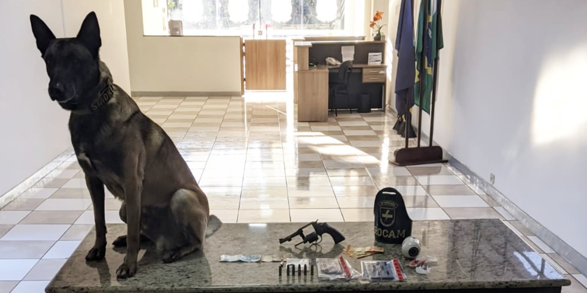 Homem armado usa companheira e enteada como 'escudo' durante abordagem da PM, no Paraná