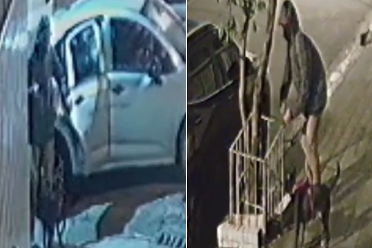 Homem é flagrado abandonando cachorro amarrado em canteiro no litoral de SP; VÍDEO
