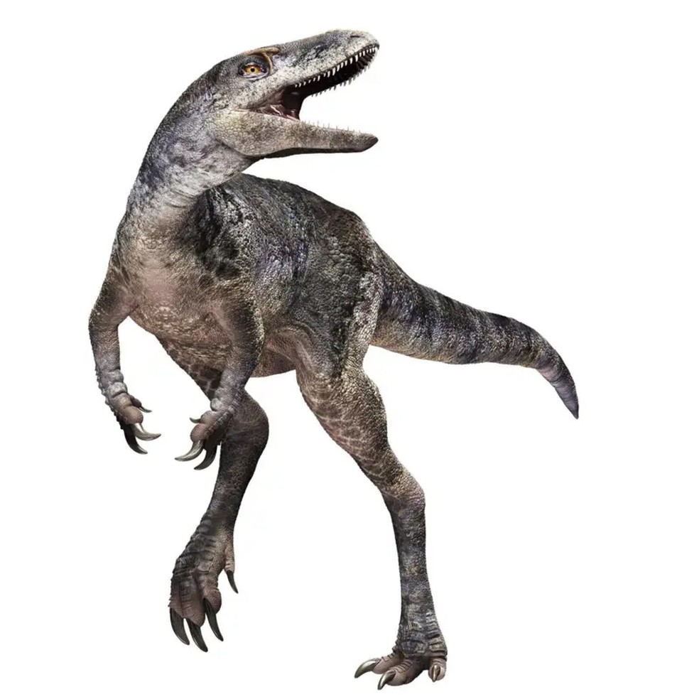 Desenho de um Khankhuuluu mongoliensis