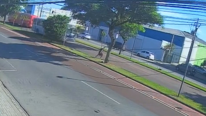 Jovem é atropelado por ônibus enquanto atravessa caneleta em Curitiba
