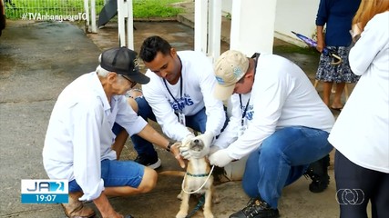 Encoleiramento de cães contra o calazar é realizado em Taquaruçu