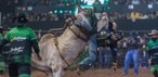 Rijproeven op het Americana Cowboy Festival