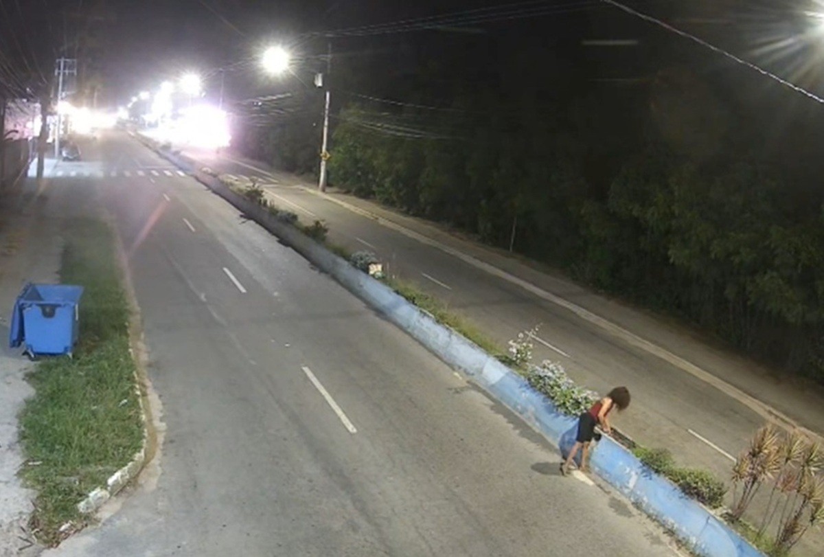 Mulher é flagrada arrancando plantas de canteiro em Búzios; VÍDEO