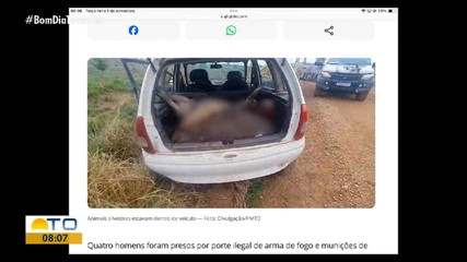 g1 Tocantins: animais são encontrados abatidos em carro e suspeitos são presos