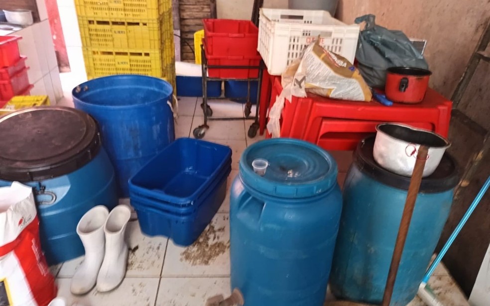 Uma fábrica clandestina de produtos de origem animal é interditada em Birigui (SP) — Foto: Divulgação