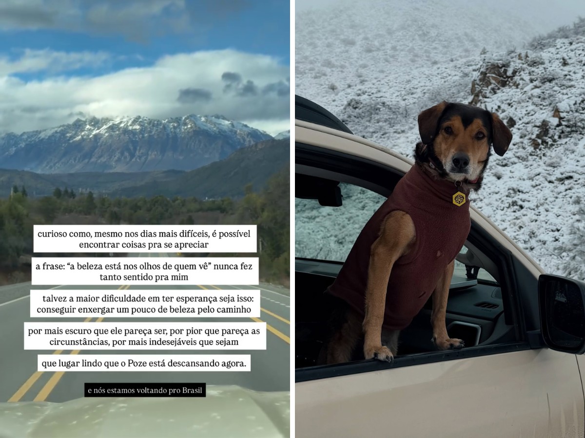 Tutores de 'frentiscão' de Campinas voltam ao Brasil após morte do cachorro na Argentina: 'Buscar justiça'