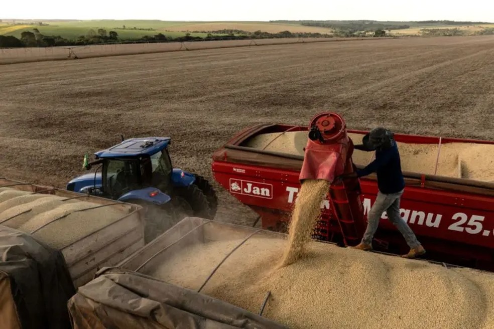 Cerca de 84% do consumo doméstico de soja na China depende de importações e mais da metade desse abastecimento vem do Brasil — Foto: Bloomberg via Getty Images/BBC