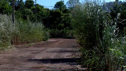 Moradores da antiga 902 Sul reclamam de mato alto e falta de iluminação na quadra