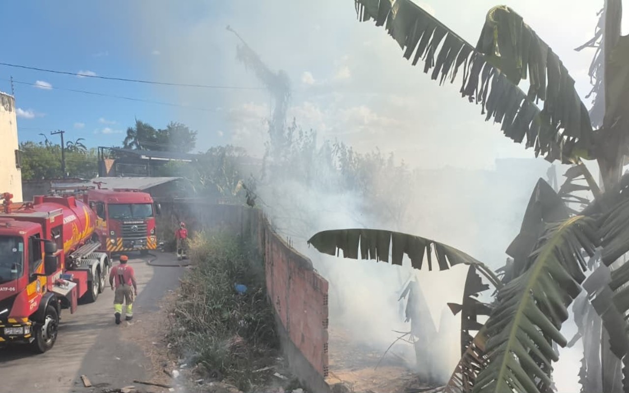 Incêndio de grandes proporções atinge área de vegetação próxima a avenida na Zona Norte de Manaus