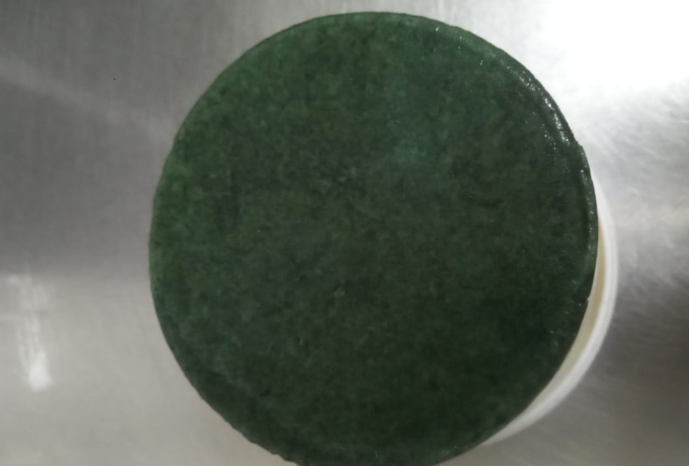 O processo de fabricação inclui a adição da erva de tereré diretamente ao leite, ainda durante a pasteurização. — Foto: Arquivo pessoal