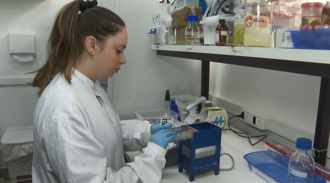 Câncer de pele é eliminado com luz, bactérias e células do sistema imunológico em pesquisa da USP
