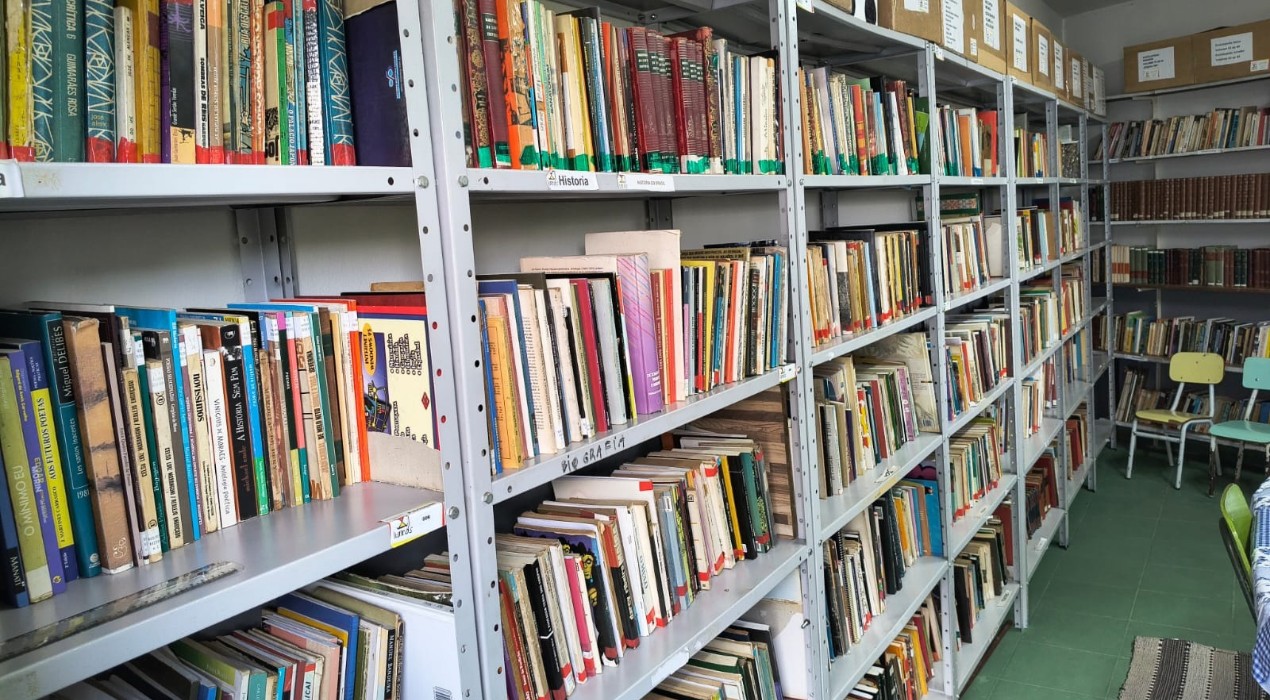 'Ratos de biblioteca': na era digital, leitores mantêm paixão por livros físicos em acervos públicos