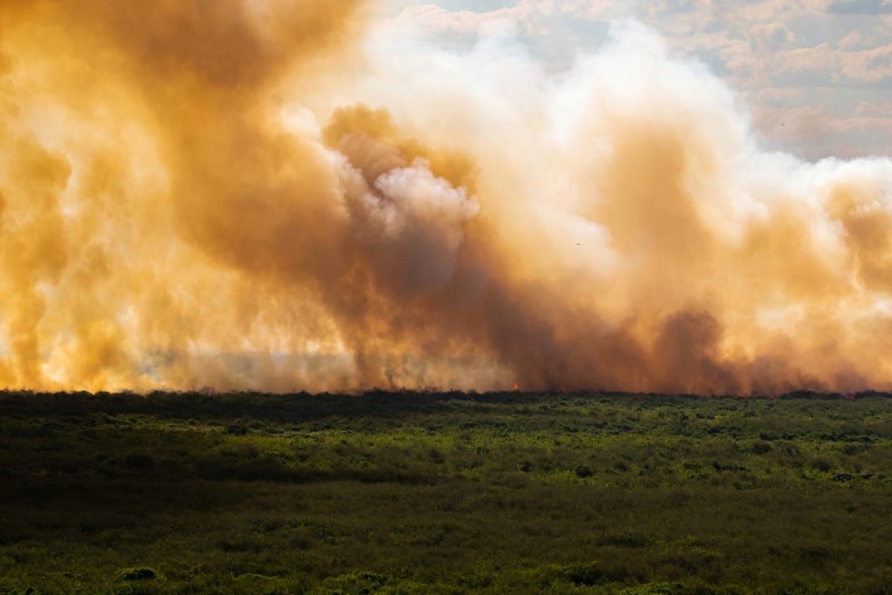 Fogo se espalha durante incêndio no Pantanal, em Corumbá (MS), em 2 de junho de 2024 — Foto: Guilherme Giovanni - @guilhermepantanal/ Reprodução