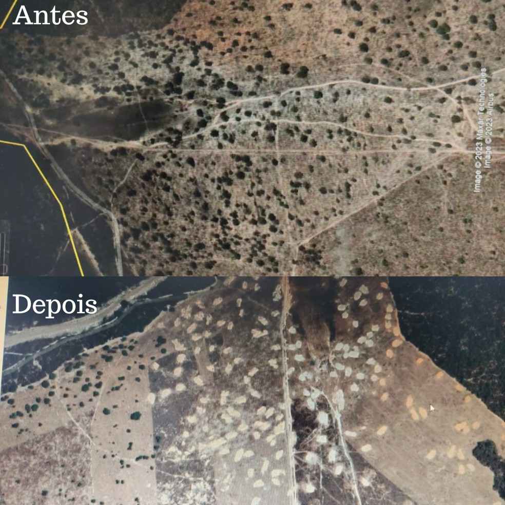 Imagens de satélite mostram o antes e depois da supreção das árvores — Foto: IEF - Januária