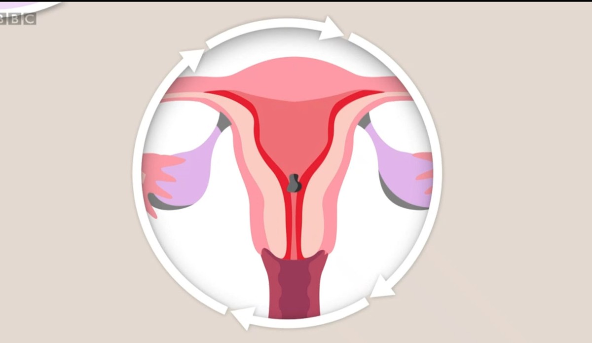 Como é a menstruação depois de virar mãe? – Korui