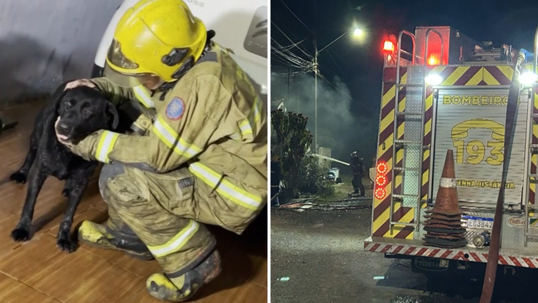 Cachorrinha se esconde durante incêndio em casa e é encontrada pelos bombeiros, no Paraná; morador ficou ferido