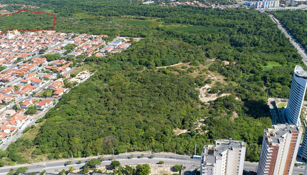 Ceará abre vagas remuneradas para o programa Agente Jovem Ambiental no Parque do Cocó