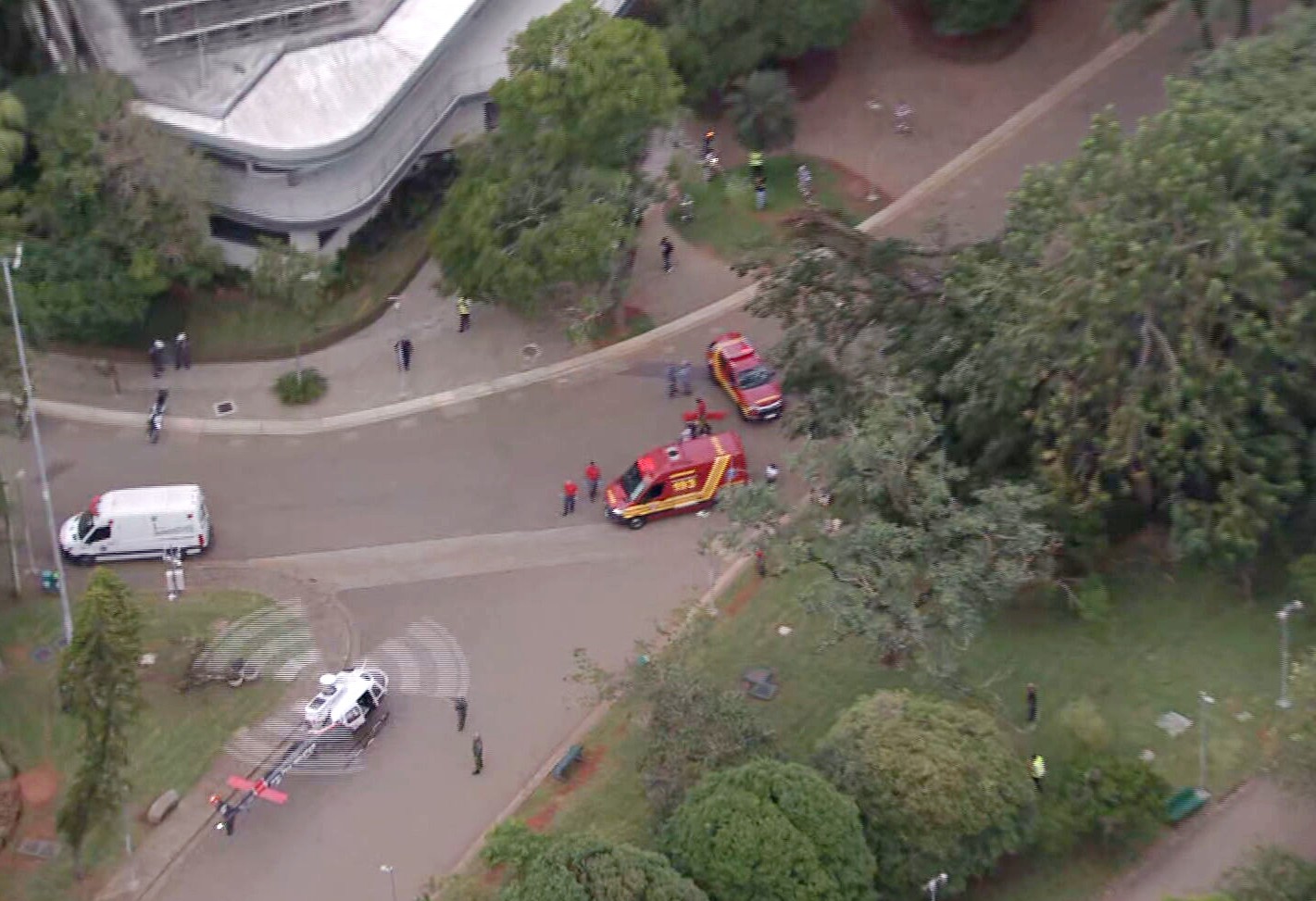 Árvore de grande porte cai dentro do Parque Ibirapuera e deixa duas pessoas feridas