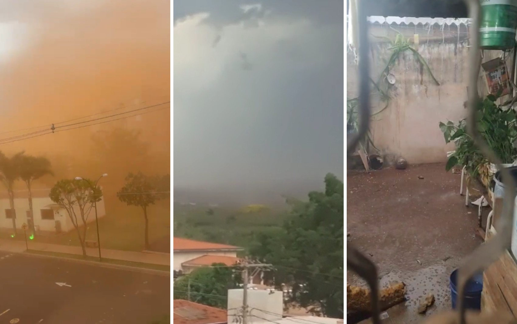 Chuva e vento forte mudam paisagem na região de Ribeirão Preto, SP