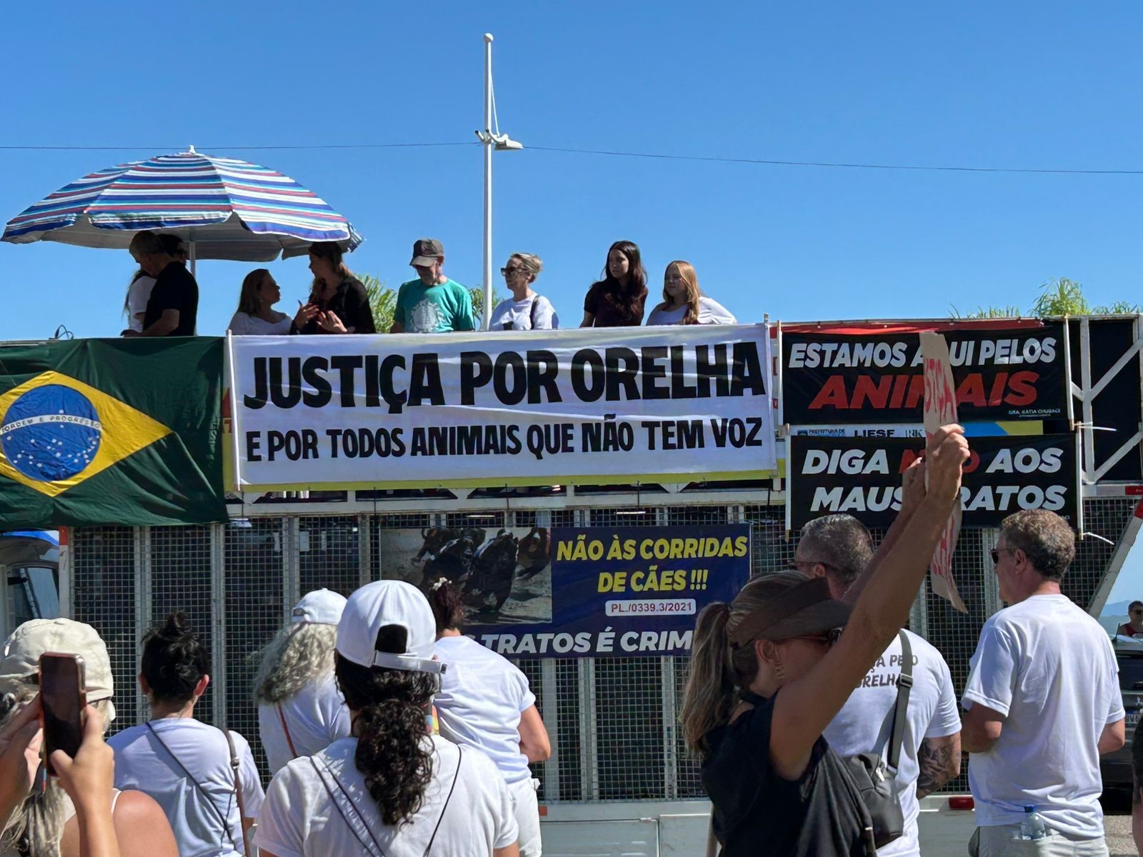 Justiça pelo caso Cão Orelha mobiliza manifestações em Florianópolis e várias cidades de SC