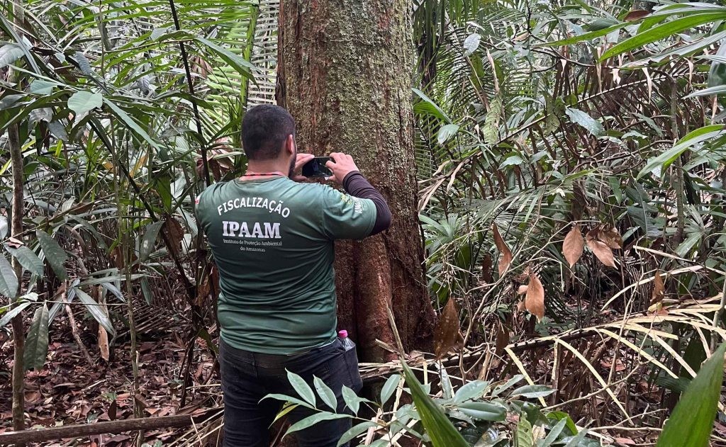 Veja a lista de concursos públicos anunciados para o Amazonas em 2025