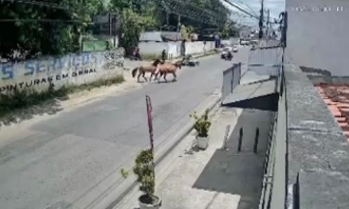 VÍDEO: motociclista é atropelado por cavalos em Feira de Santana
