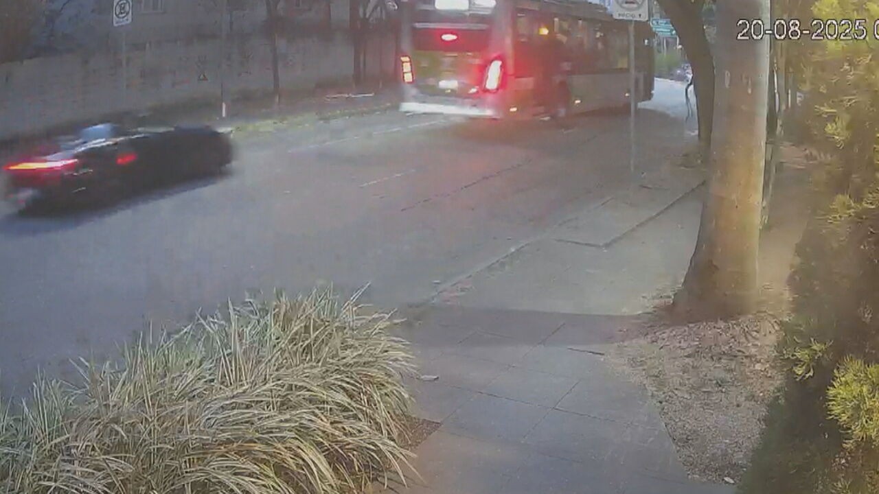 Imagens exclusivas mostram que Gato Preto cometeu outras infrações antes de acidente em SP