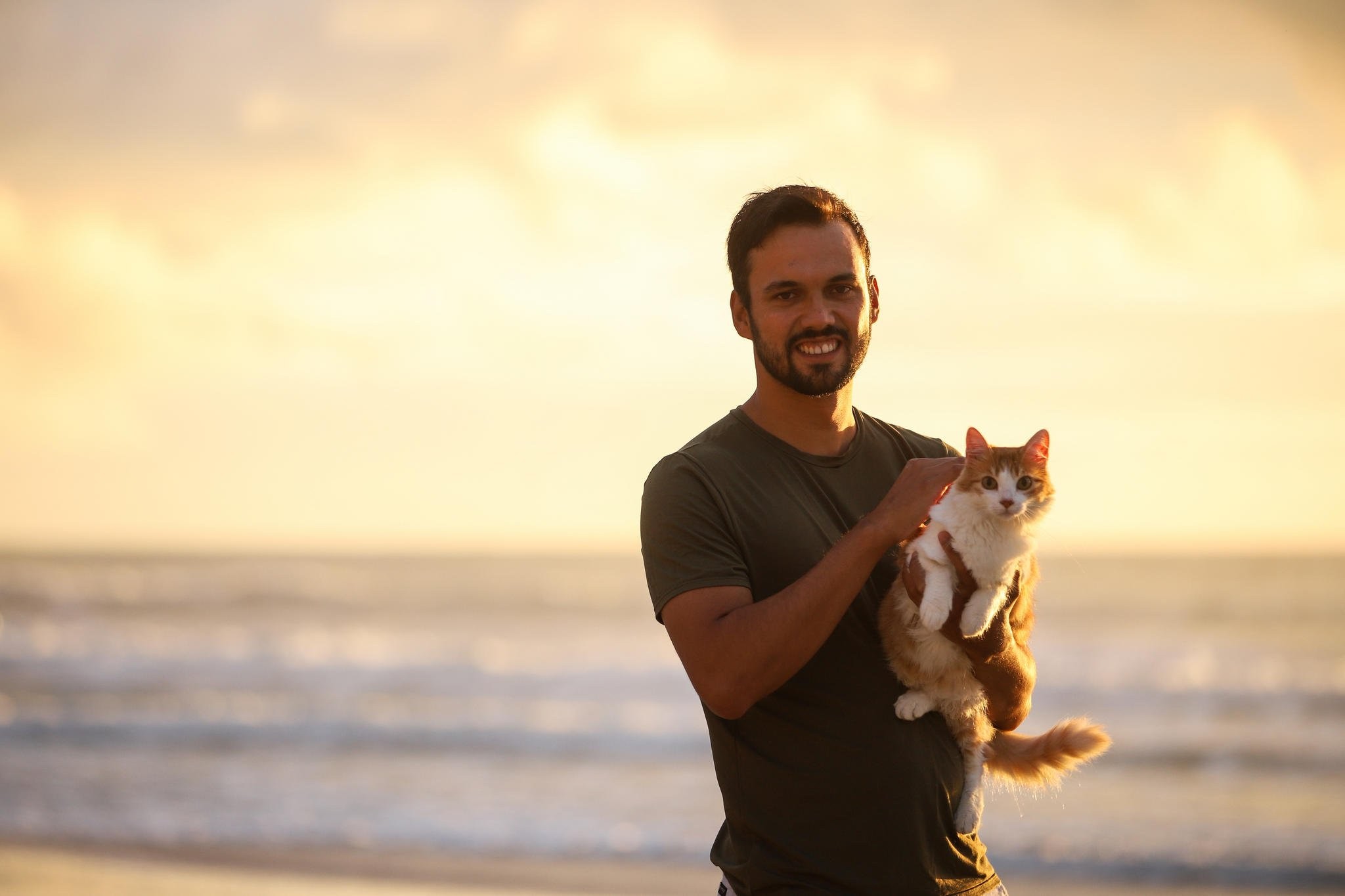 VÍDEO: Gata faz sucesso nas redes sociais com passeios em praia do RS: 'virou ponto turístico', diz tutor