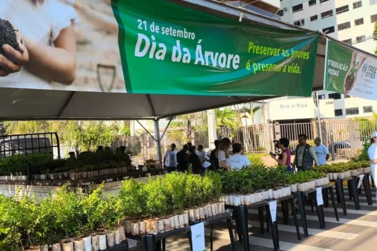 10 mil mudas de árvores frutíferas são distribuídas de graça em Campo Grande