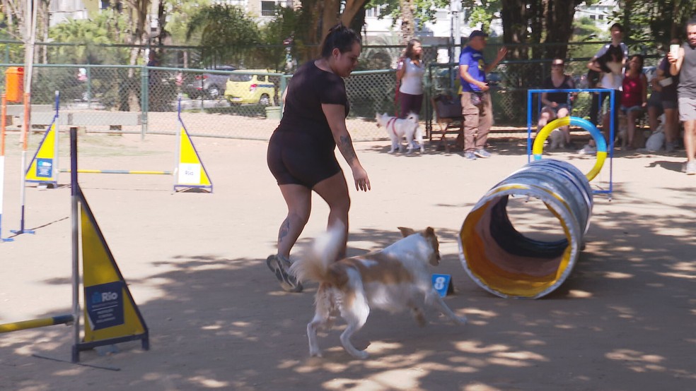 Cães se exercitam gratuitamente em parques do Rio  — Foto: Reprodução/TV Globo 